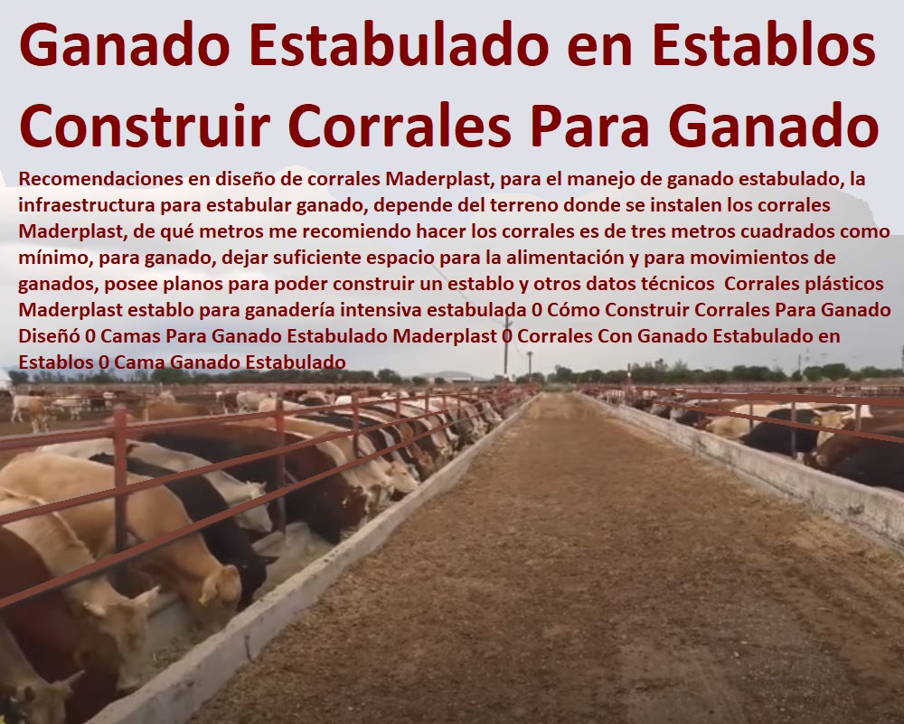 Corrales plásticos Maderplast establo para ganadería intensiva estabulada 0 Ganaderías Tecnificadas, Explotación Ganadera Automatizada, Sistemas de Pastoreo, Estabulación de Ganado, Pastoreo Intensivo, Establos, Corrales, Saladeros, Comederos, Cerramientos, Postes, Cómo Construir Corrales Para Ganado Diseñó 0 Camas Para Ganado Estabulado Maderplast 0 Corrales Con Ganado Estabulado en Establos 0 Cama Ganado Estabulado Corrales plásticos Maderplast establo para ganadería intensiva estabulada 0 Cómo Construir Corrales Para Ganado Diseñó 0 Camas Para Ganado Estabulado Maderplast 0 Corrales Con Ganado Estabulado en Establos 0 Cama Ganado Estabulado